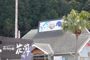 飲食店　太地町　クジラ料理