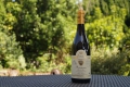 ANTOINE CHATELET Bourgogne Rouge Pinot Noir