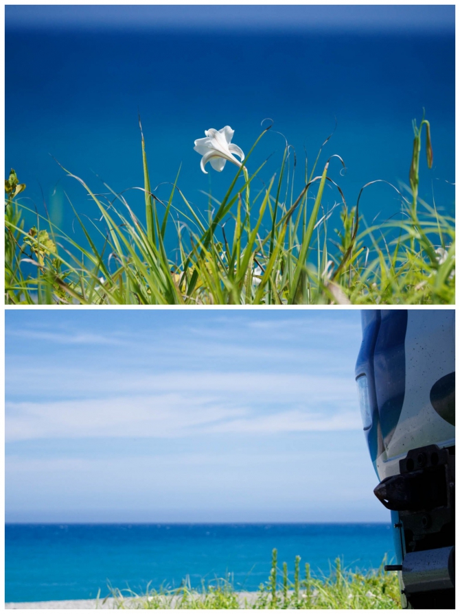 南紀熊野〝青い海〟〝青い空〟を走る