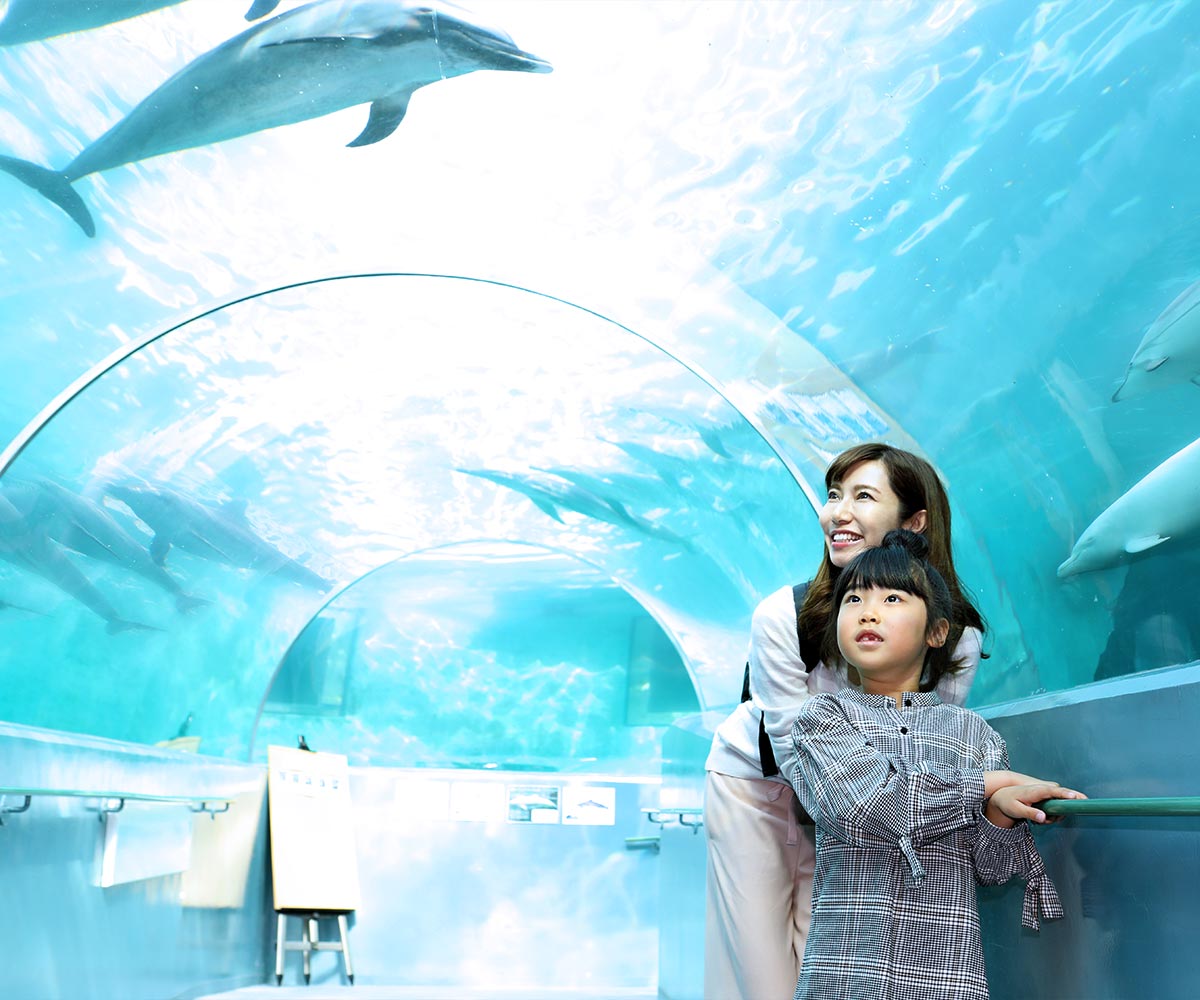 くじらの博物館