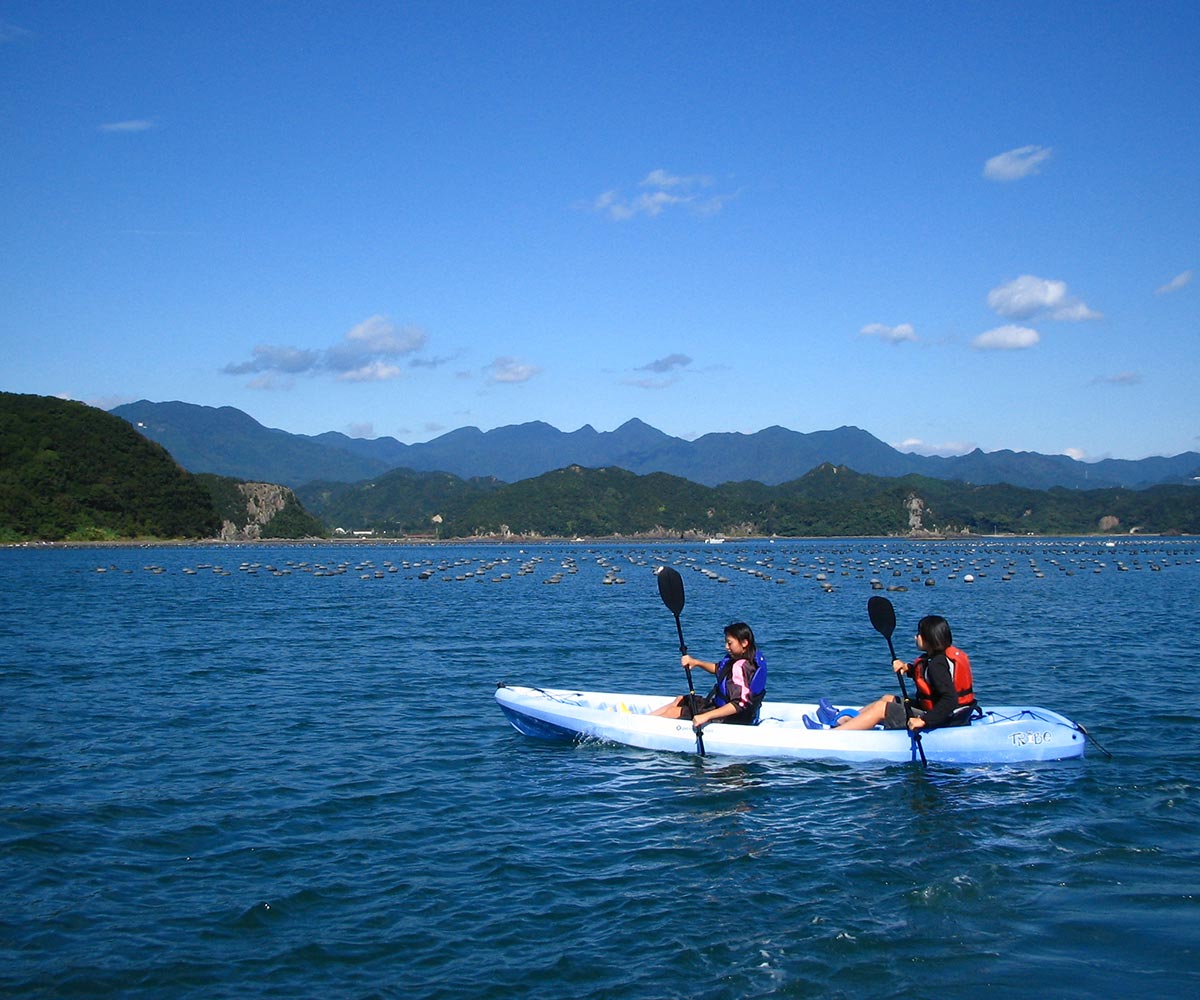 ドルフィンスイム