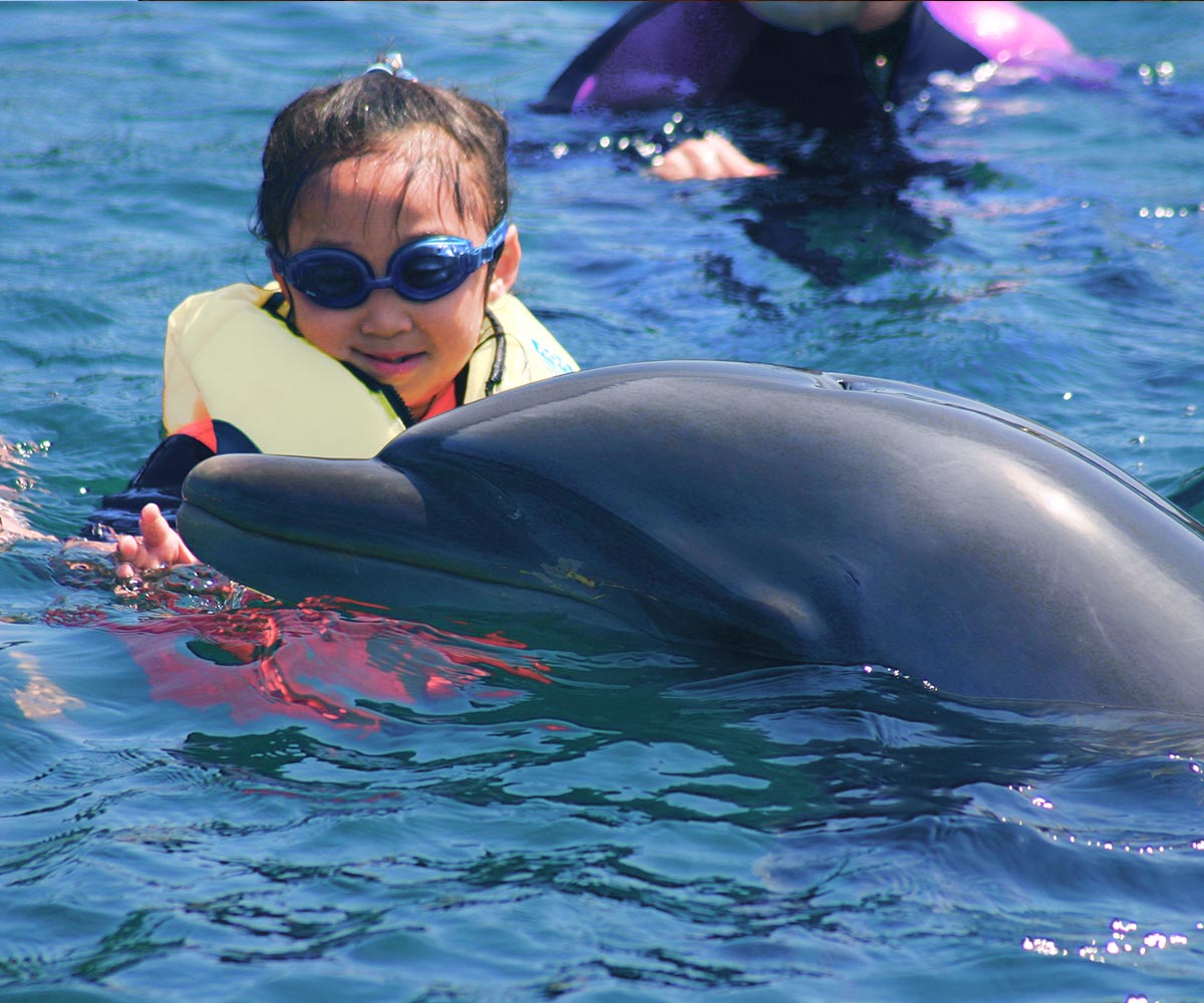 くじらの博物館