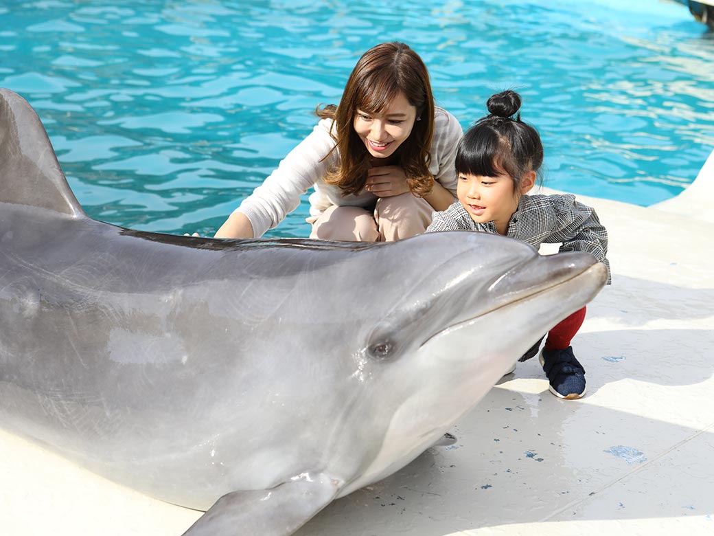 くじらの博物館