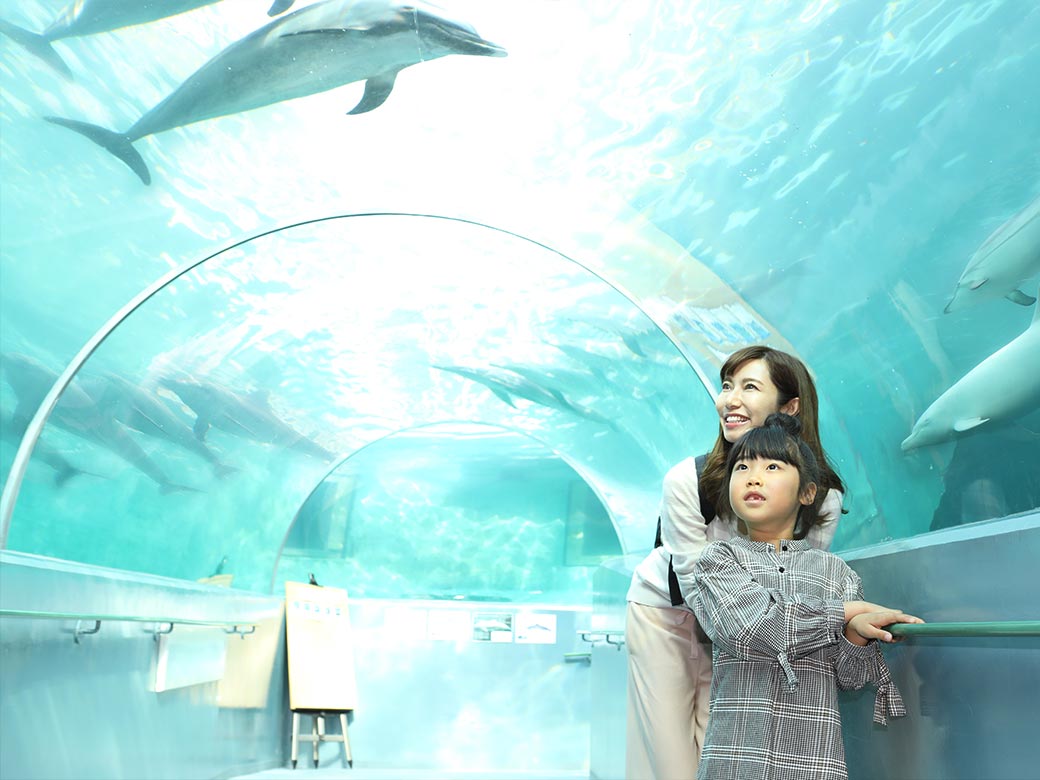 くじらの博物館