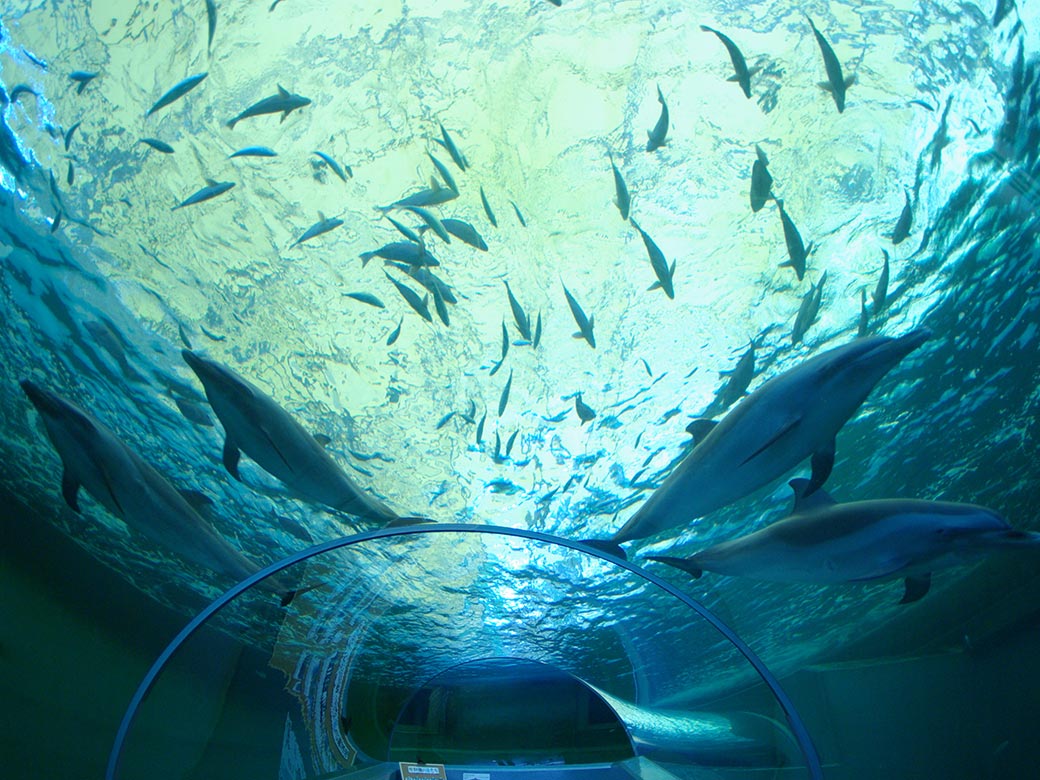 くじらの博物館