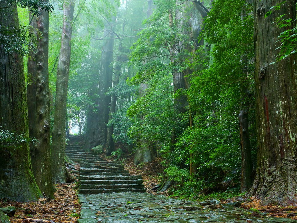 熊野古道
