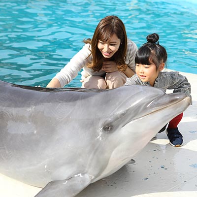 くじらの博物館
